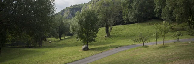 Naturlandschaft innerhalb der Cité Saint-Pierre