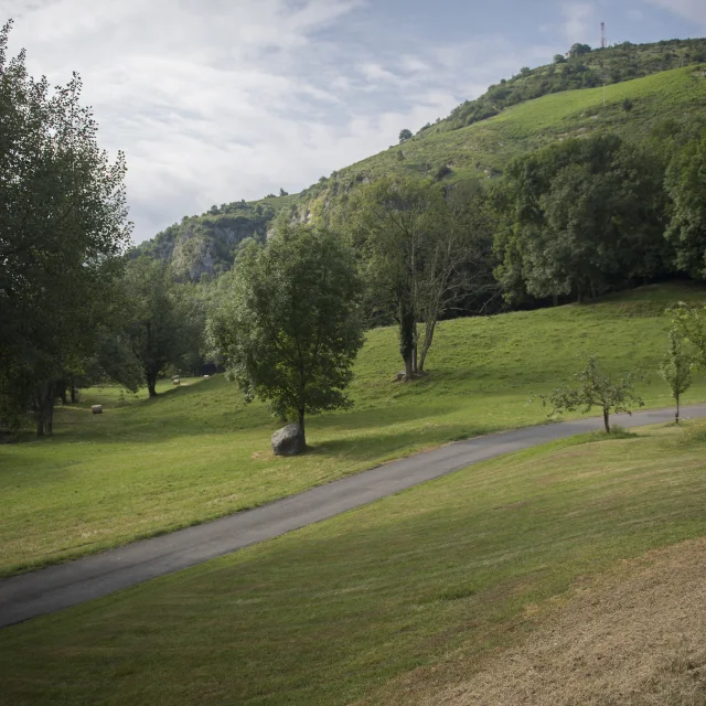 Il paesaggio naturale della Cité Saint-Pierre