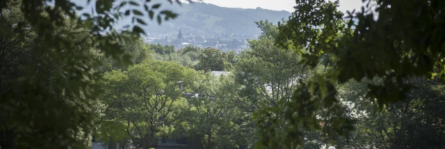 Ein Aussichtspunkt auf die Cité Saint-Pierre
